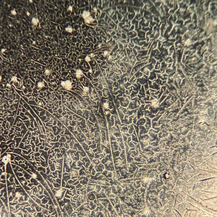 Sample 1 – Mixing tank, before treatment: Mixed conventionally using a sump pump in a mix tank without low shear cavitation treatment. (200x optical magnification with a 1.79 mm fr