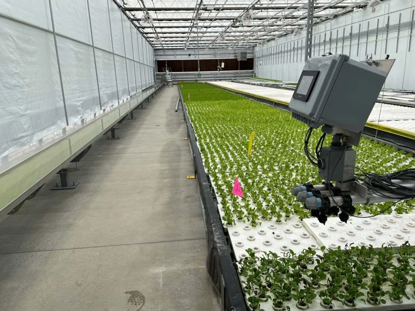 Customer Feedback: CEA, Deep Water Culture, Leafy Greens Production