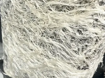 Close-up of dense white root hairs covering the outer face of a growing block